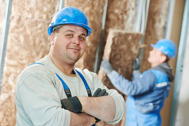 Best Insulation Materials and Products in Carrollton, KY