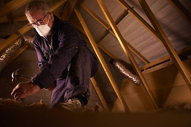 Best Types of Insulation in Carrollton, KY